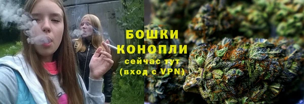 прущие крисы Бородино