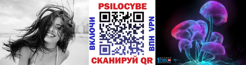 mega зеркало купить закладку Новоржев Галлюциногенные грибы Psilocybe