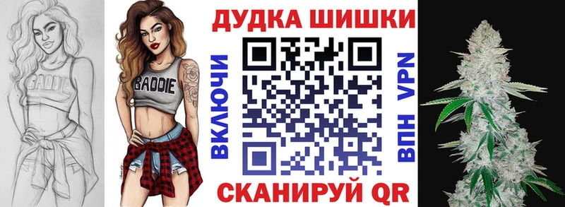 где купить наркоту  Новоржев  Канабис сатива 